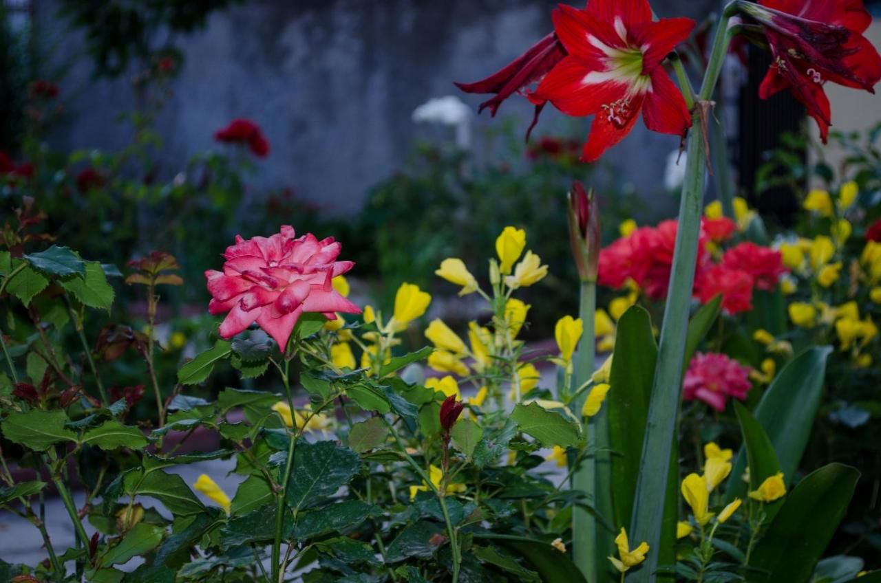 Гостевой дом Rooms Lazarević Сутоморе-48